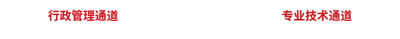 必赢亚洲·bwin(中国区)官方网站